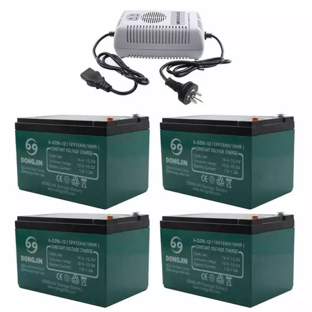 4pc 12V 12Ah 6-dzm-12 Battery for 48V Quad Scooter Mobility ATV Buggy Razor