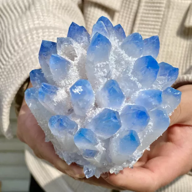 1.4LB  New sky blue Phantom Quartz Crystal Cluster Mineral Specimen Healing