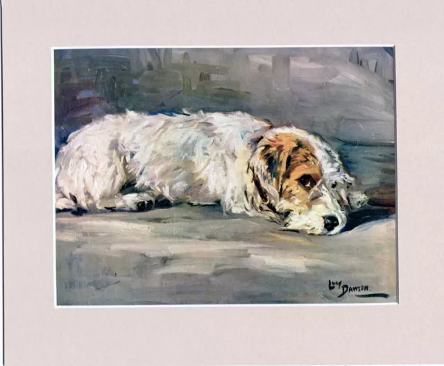 Lucy Dawson ~ Sealyham Terrier ~ Colour Print Genuine Vintage 1931