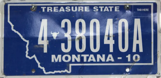 Montana Treasure License Plate USA 438040A Originalbild