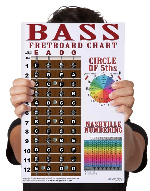 4 String Bass Fretboard Instructional Chart Poster Lo vrogue.co