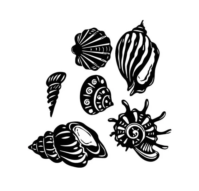 NEW 14” x 14” Set Of 6 Conch Sea Shells Black Vinyl Wall Car Tile Glass Decals