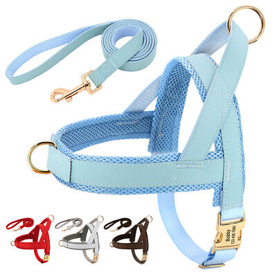 Personalised Dog Nylon Harness and Lead Soft Mesh Padded No Pull Vest Adjustable