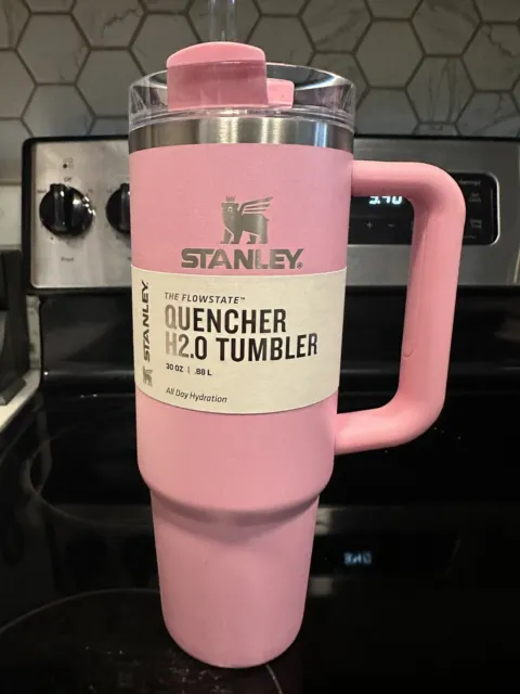 https://www.picclickimg.com/dZIAAOSwq1lllyhy/Stanley-Sizzling-Pink-30oz-Quencher-H20-Target-Exclusive.webp