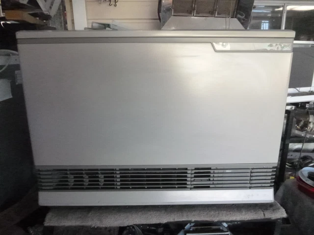 RINNAI 1001 FT Energy saver gas heater $550.00 - PicClick AU