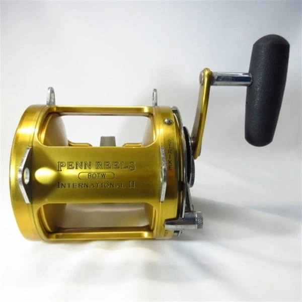 Penn Rival II Level Wind - Moulinet De Pêche Conventionnel à Niveau De Ligne, Freins HT-100, Cadre Graphite Résistant à La Corrosion