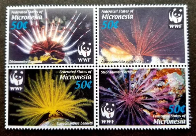 *FREE SHIP Micronesia WWF Feather Stars 2005 Marine Life Coral Reef (stamp) MNH