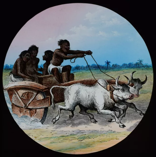ANTIQUE Magic Lantern Slide ANCIENT OX PULLED CHARIOT C1890 VICTORIAN DRAWING