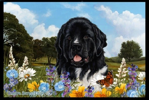 Summer Floor Mat - Landseer Newfoundland 39224