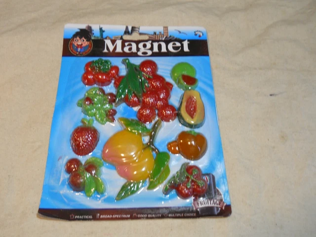 Set of 10 Memo Holder /Refrigerator Magnets ~ Fruit/Vegetable Shape ~ (#2)