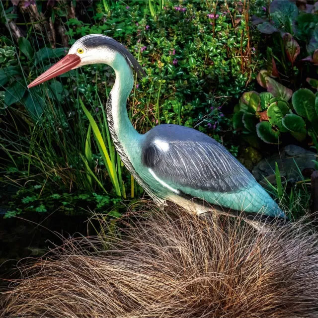 Life-Sized Decoy Heron Weatherproof Realistic Bird Scaring Garden Pond Ornament