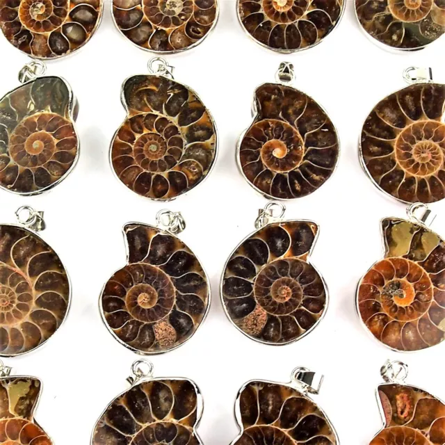 schöne Ammonit - Anhänger poliert Ø ca. 40 mm Fossilien Ammoniten Schnecke 3