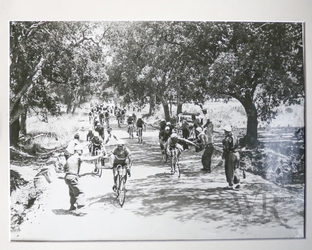 Tour de France 1936 - Grande Photo de presse 30x40cm - Ravitaillement du Peloton