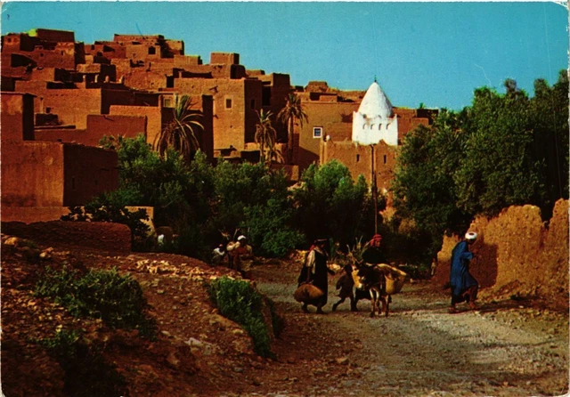 CPM AK MAROC Le MAROC Pittoresque-TINERHIR (342837)