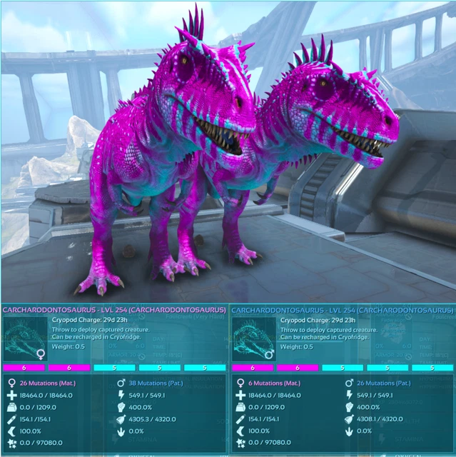 COTTON CANDY CARCHARO Pair 400m Carcharodontosaurus Ark Survival