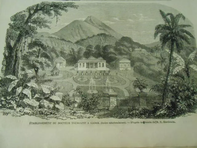 Gravure 1859 - Etablissement du Doctur Toussaint à Gadok Indes Néerlandaises