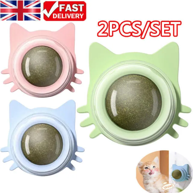 2X Pet Catnip Ball Cats Wall Toys Healthy Natural Cleaning Teeth for Cats Lick