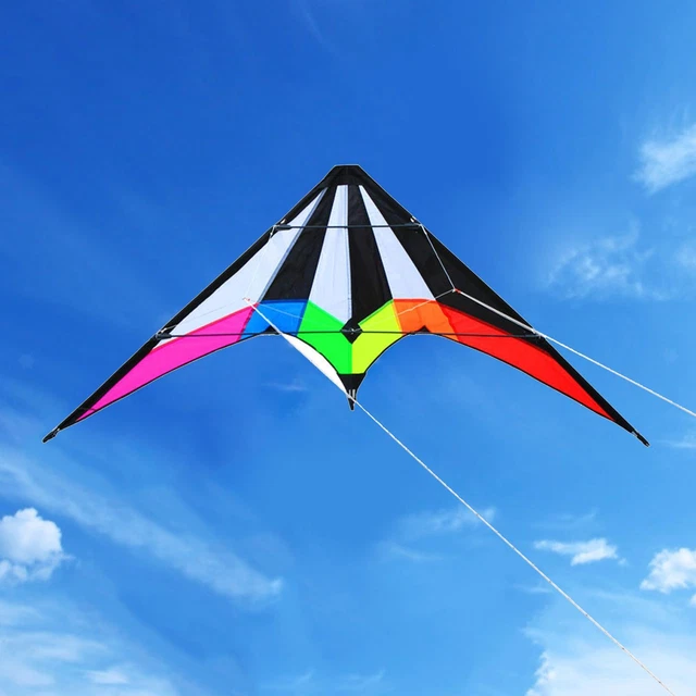 Cerf-volant,cerf-volant professionnel double ligne,2.2m,pour Sport en