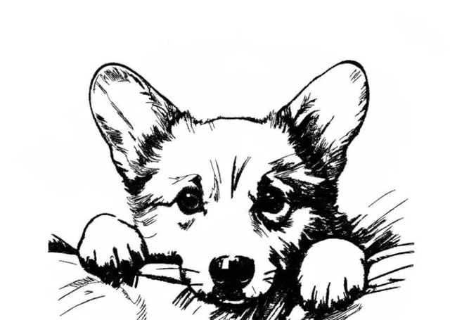 Corgi Puppy Dog Breed Bathroom White Hand Towels Embroidered