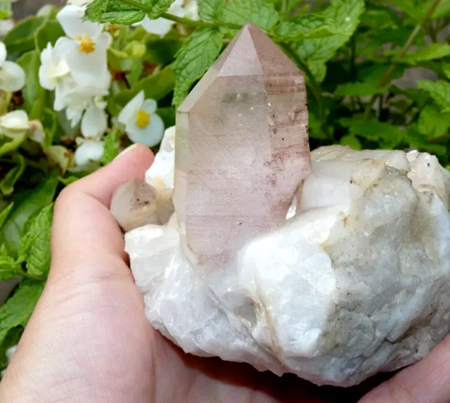 Grand Cristal Naturel Quartz Rose Hématoïde Parfait 10x9cm Minéraux collection