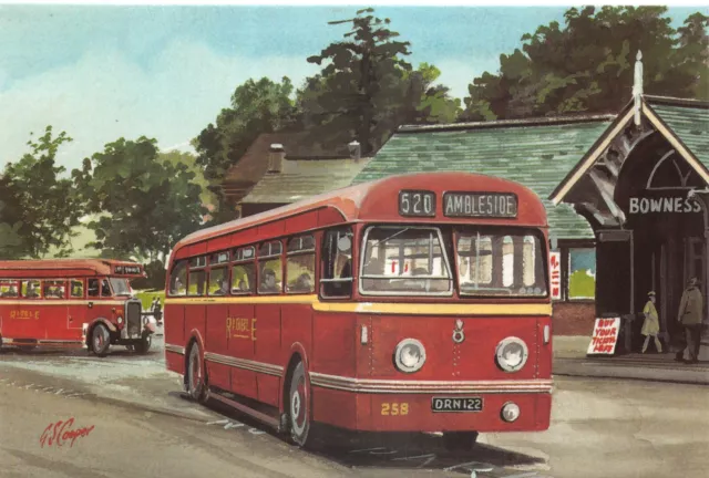 Old Bus  Postcard Ribble Large Size Unused  Very Good Mint