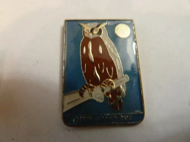 Pin's  Chouette     /  Hibou  Grand  Duc    /  Superbe