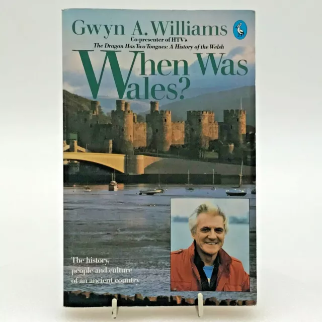 When Was Wales ? Gwyn A Williams Paperback