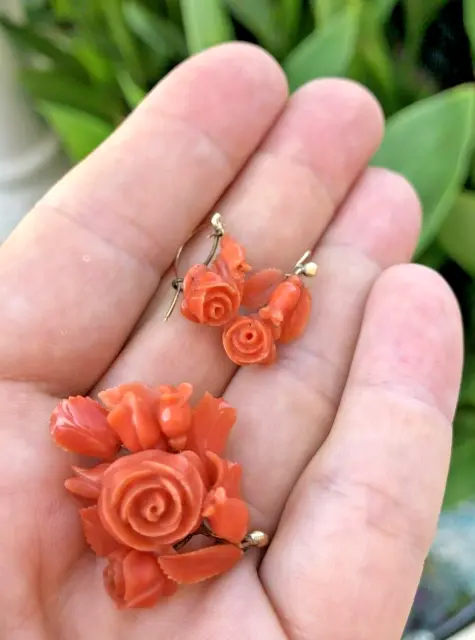ANTIQUE GEORGIAN VICTORIAN CARVED SALMON CORAL YELLOW GOLD BROOCH EARRINGS 7gr 2
