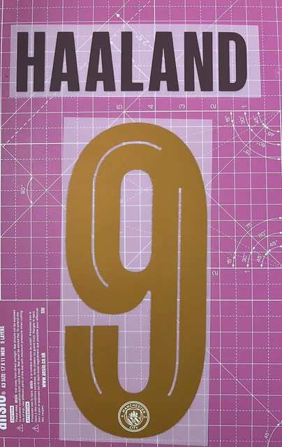 FLOCAGE NAMESET HAALAND #9 Version Nameset 2023 2024 Manchester EUR 13