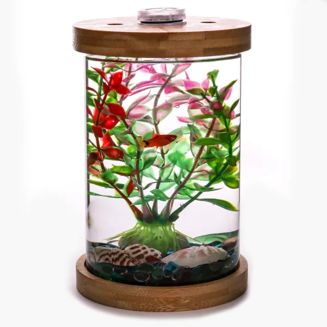 1pc Desktop Aquarium Tank Glass Fish Bowl with Lid 4