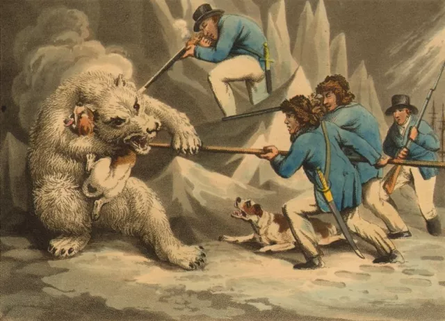 ARCTIC. Seamen killing a Polar Bear for skin. Dogs.  (Edward Orme)  1814 print