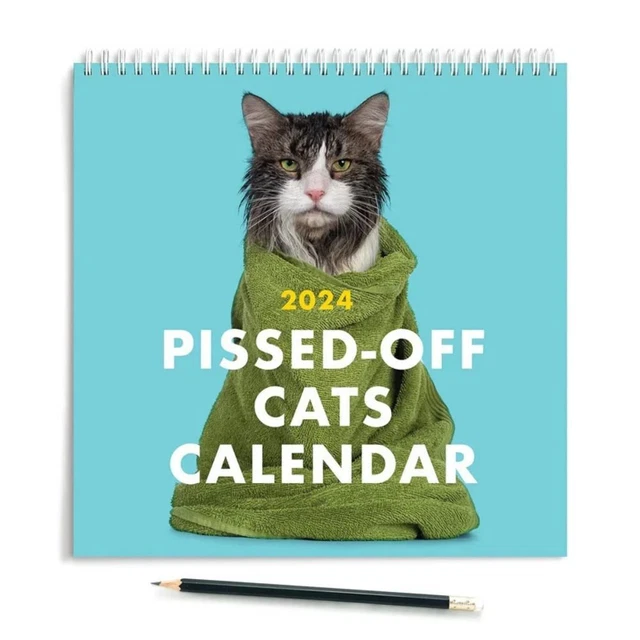 REGALI DI CAPODANNO 2024 calendario gatti pissedoff calendario sospeso