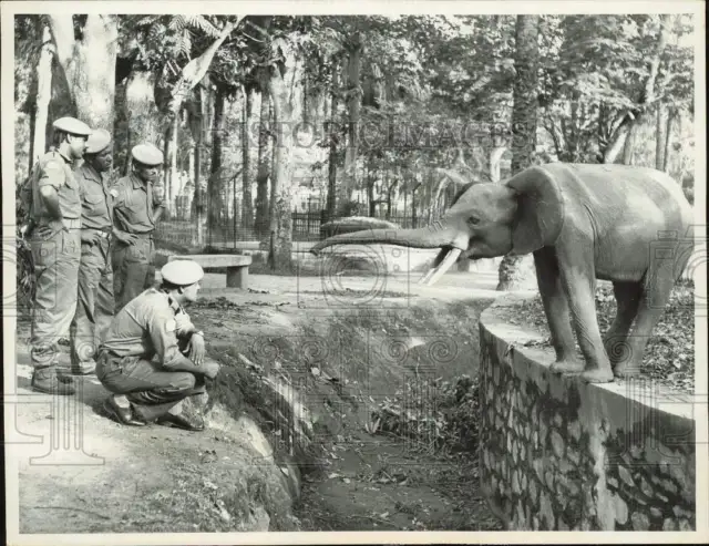 1960 Press Photo Moroccan United Nations soldiers visit elephant at zoo, Congo