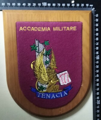 CREST IN STOFFA ACCADEMIA MILITARE 177° CORSO TENACIA RARITÀ!!! 