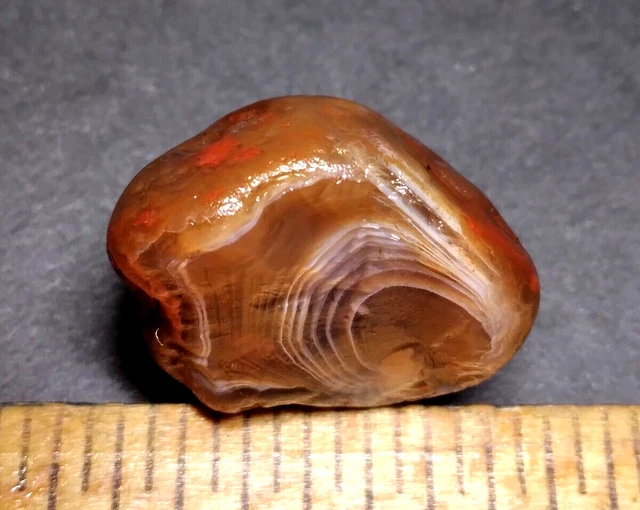 Lake Superior Agate 0.30 oz 'STELLAR HALF NODULE' Rough Minnesota Gem - upnorth