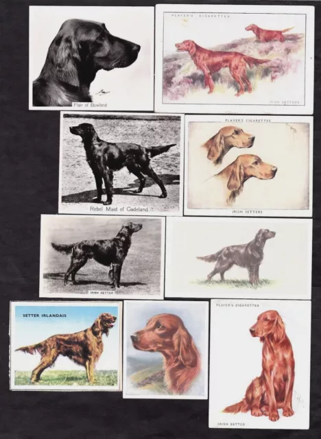 18 Different Vintage Irish Setter Tobacco/Candy Dog Cards Lot
