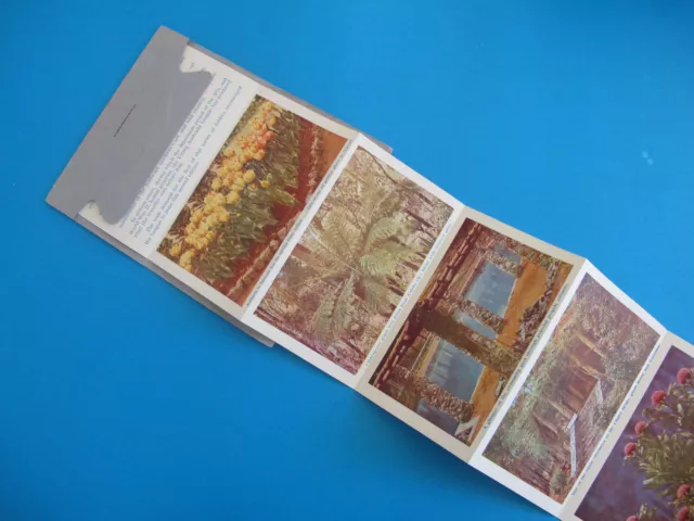 Araluen WA Series No.2 Souvenir Foldout Colour Views Postcard