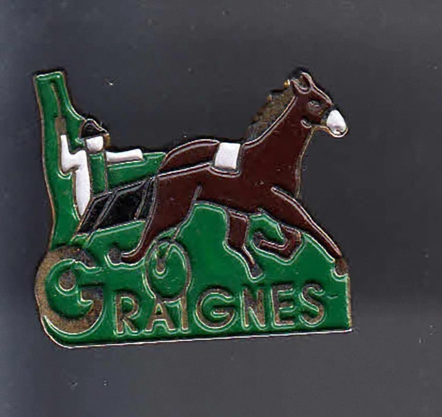 PINS PIN SPORT HIPPISME CHEVAL PRIX D'AMERIQUE STARPINS