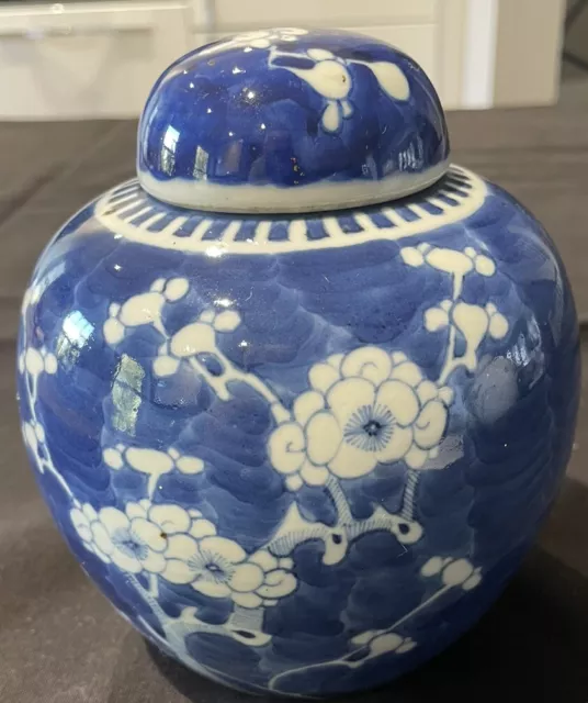 19th Century Blue & White Chinese Prunus Sakura Blossom Ginger Jar