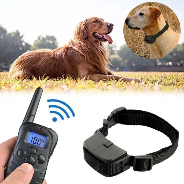 300m collar de choque para perro con control remoto impermeable mascota eléctrica D