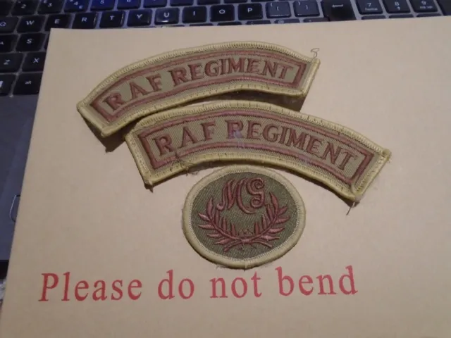 Raf Regiment  Desert Storm Era  ?  Badges Pair & Machine Gun Merit Badge  A Lot
