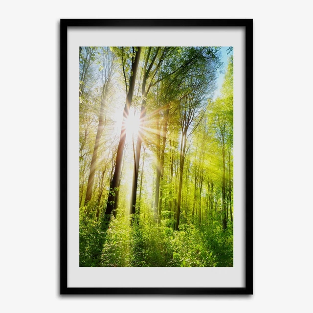 Affiche dans un cadre noir - Poster - Une gravure d'une forêt tropicale et d'un bateau