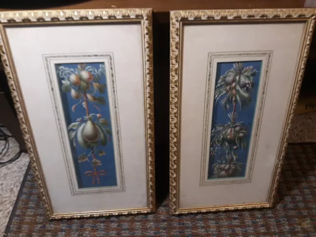 Pair Of Well Executed Mixed Media Botanical  Still Life Paintings And Ink Old