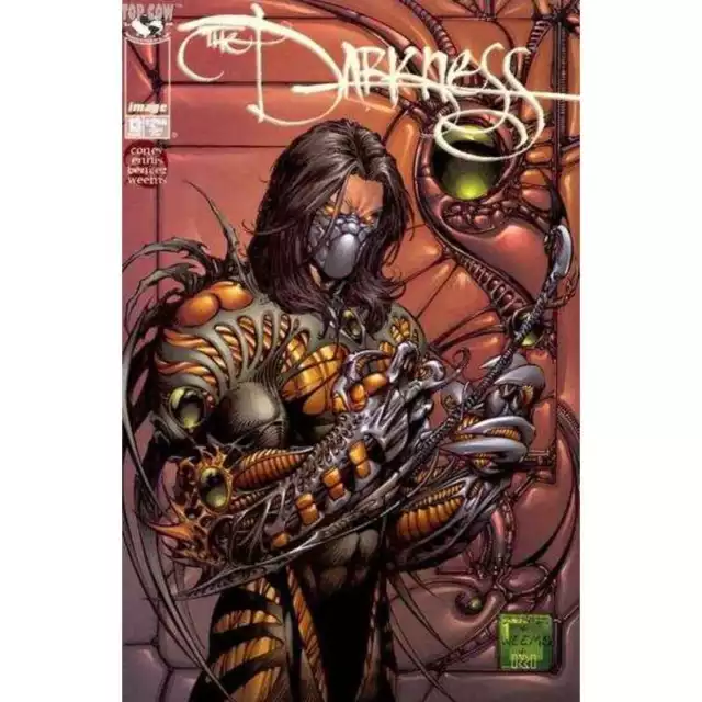 Darkness (1996 series) #13 in Near Mint condition. Image comics [z