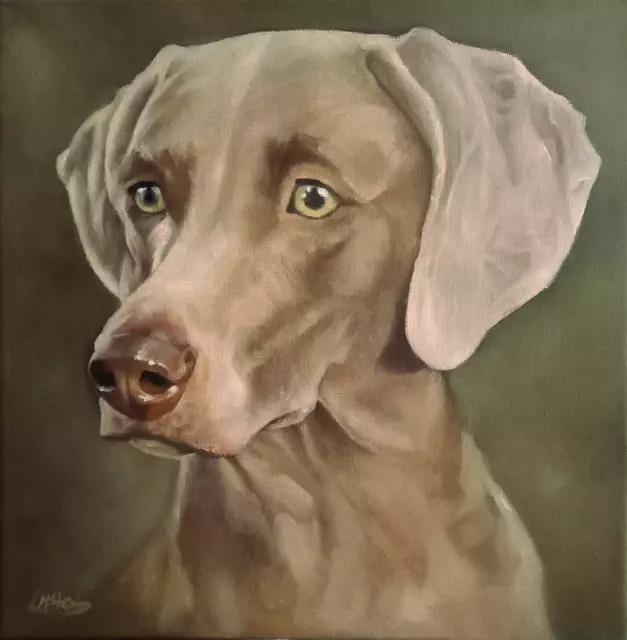 Weimaraner original Oil on canvas dog portrait  12" x 12" OOAK pet painting