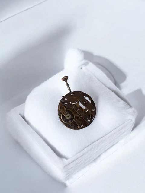 Montre De Poche Ancienne Rino, Mécanisme Vintage, Collection, Occasion