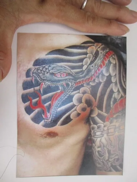 Tatuaje Cuerpo Piel Arte Imagen Japón Imagen Serpiente 4.5x6 pulgadas Menú Impermeable