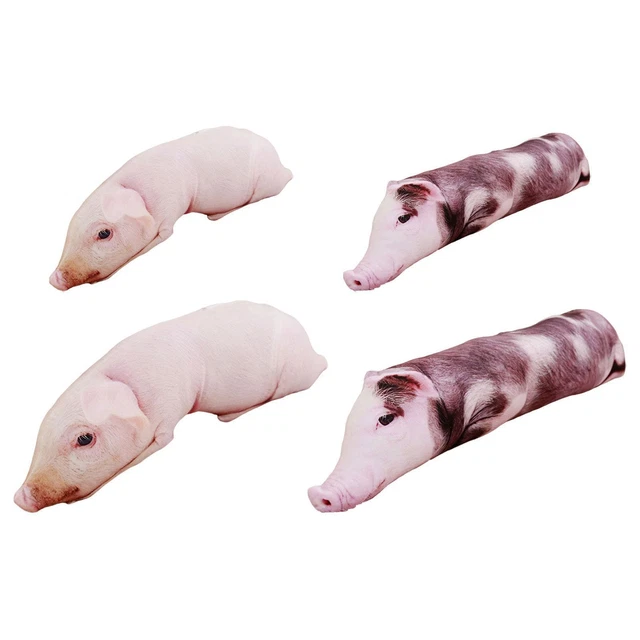Coussin étreignant en peluche de cochon doux pour la décoration de la maison
