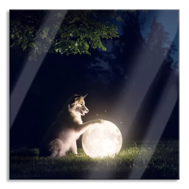 Perro Con Luminoso Luna por la Noche Imagen Cuadrados, Con Soporte Pared