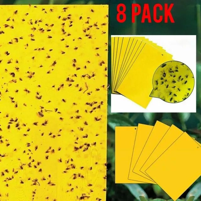 Yellow Sticky Fly Trap Insect Catcher Traps Paper Killer Glue Fruit Flies Aphids